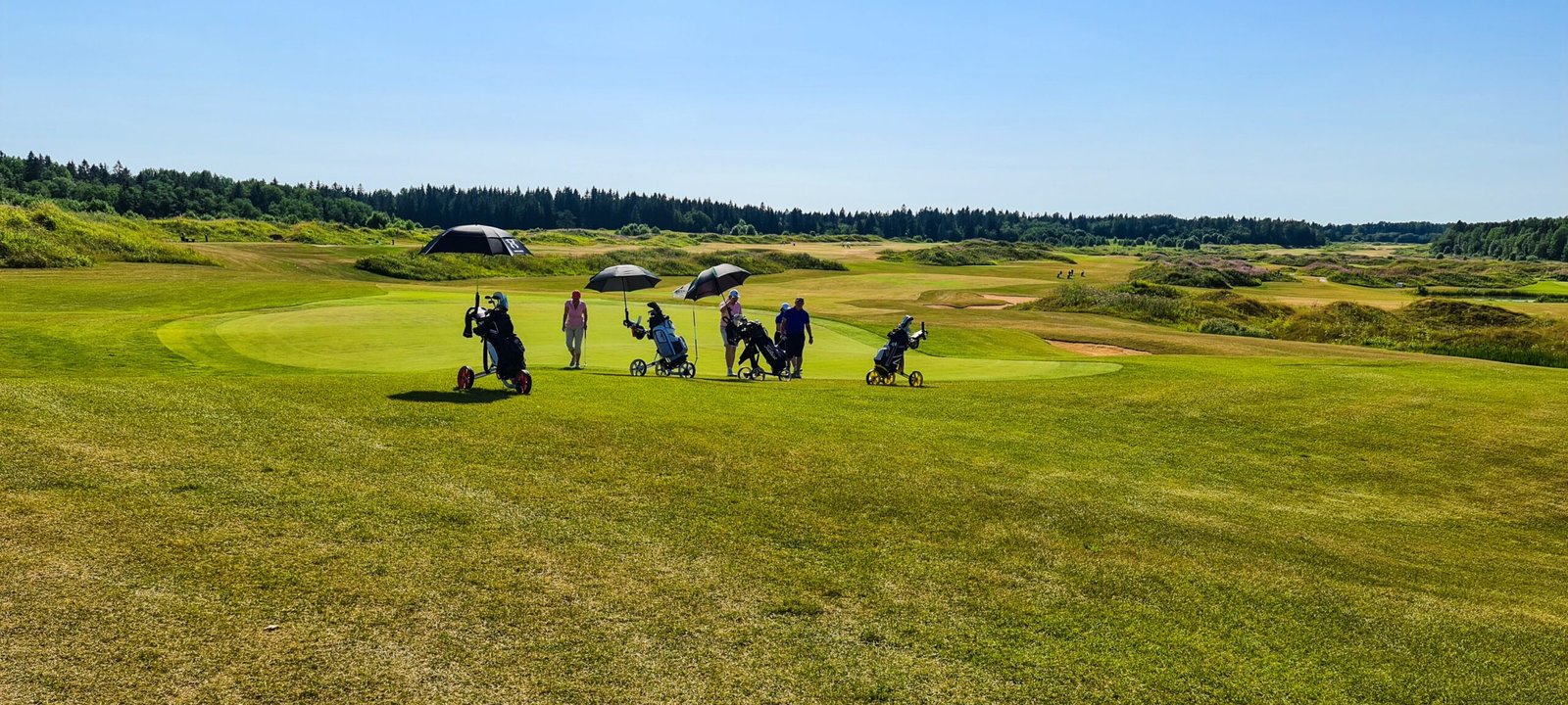 golf us open leaderboard
